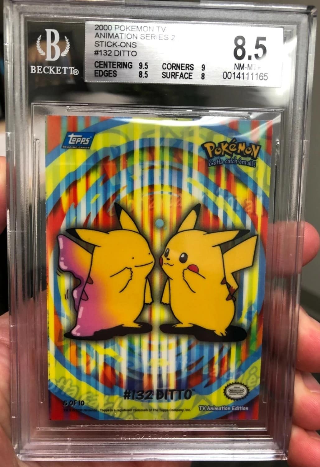 Ditto