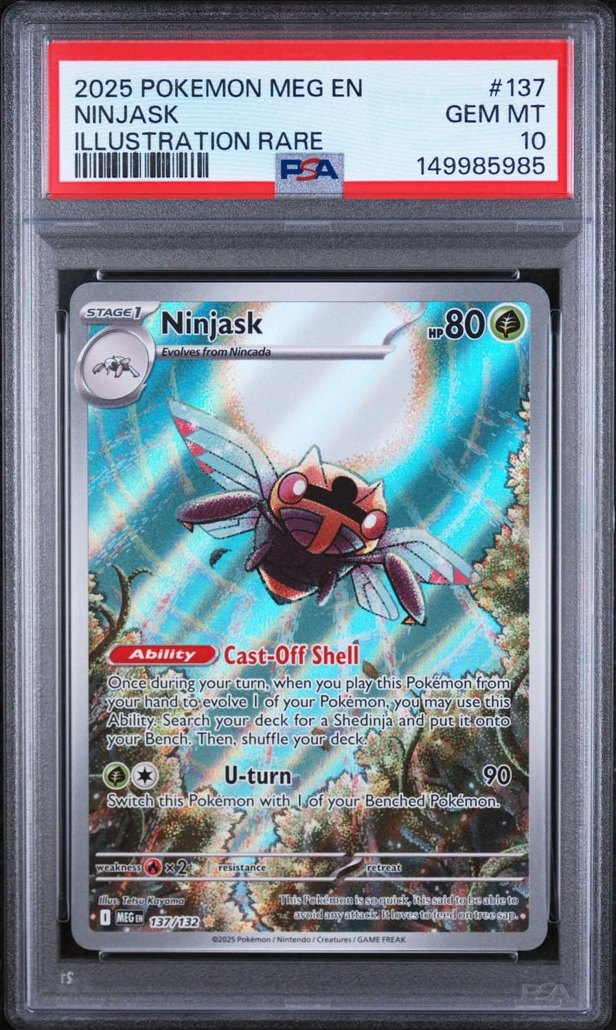 Ninjask