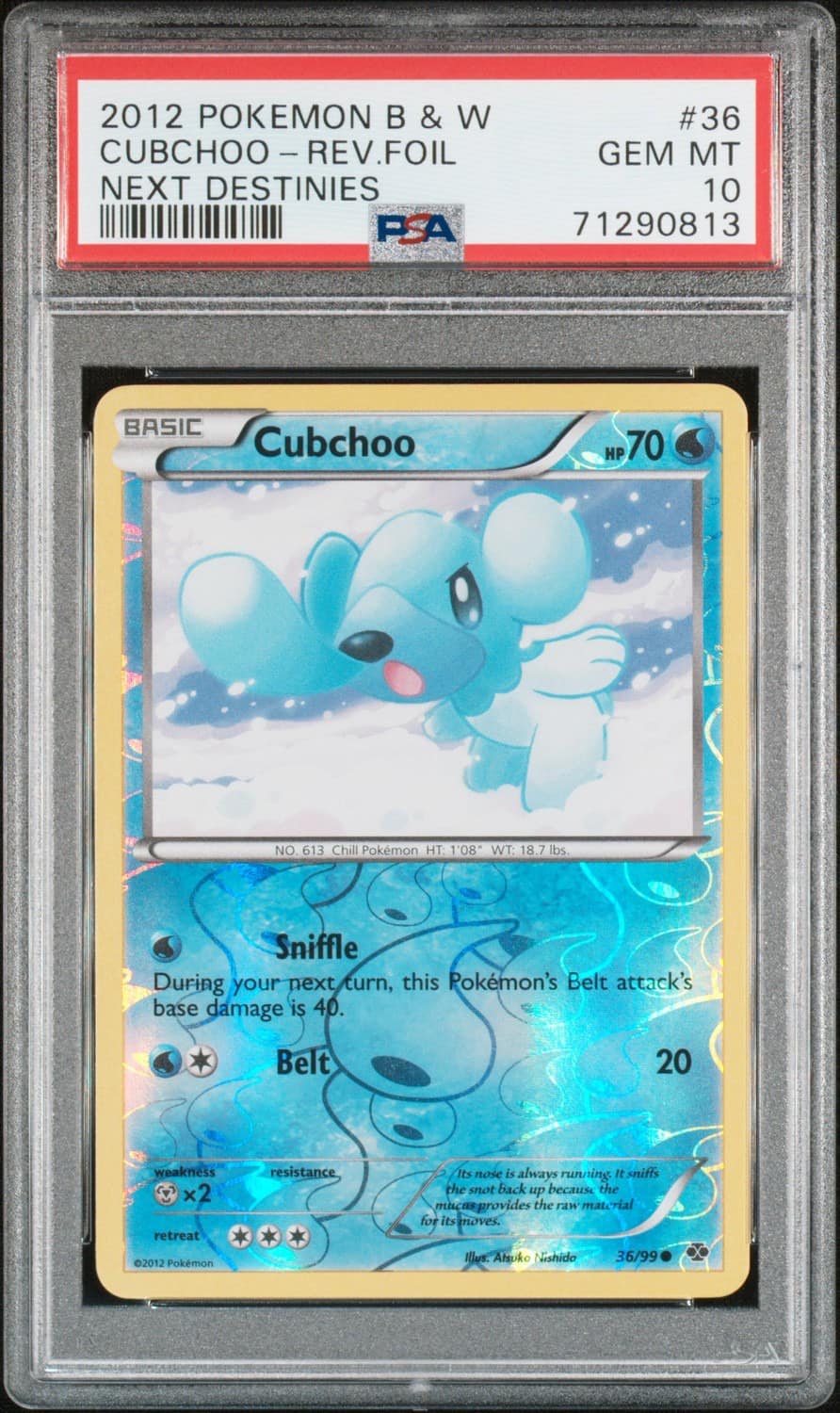 Cubchoo