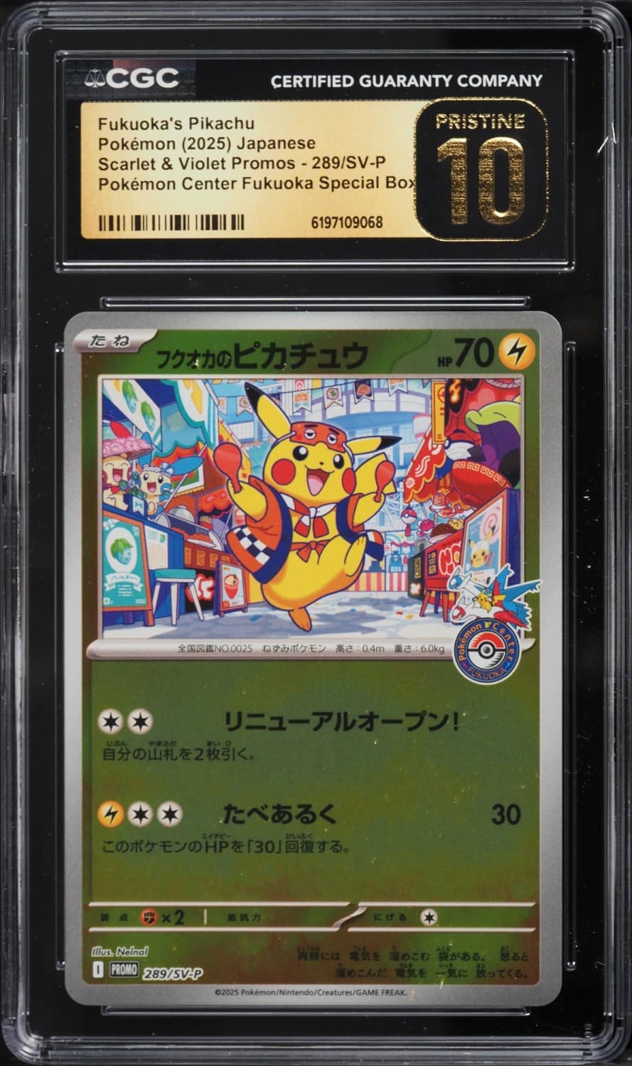 Fukuoka'S Pikachu