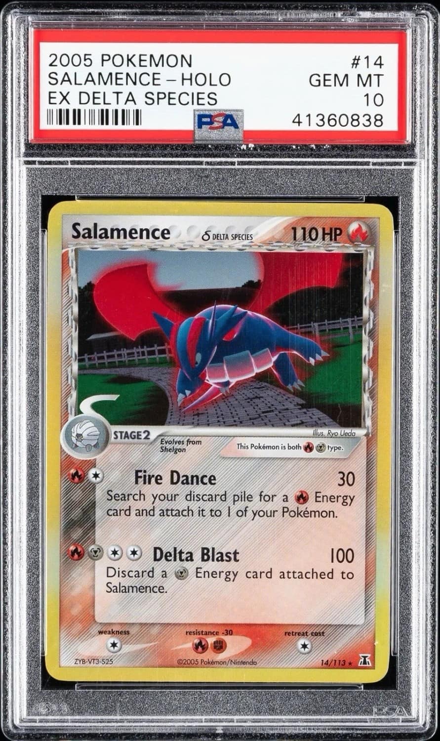 Salamence