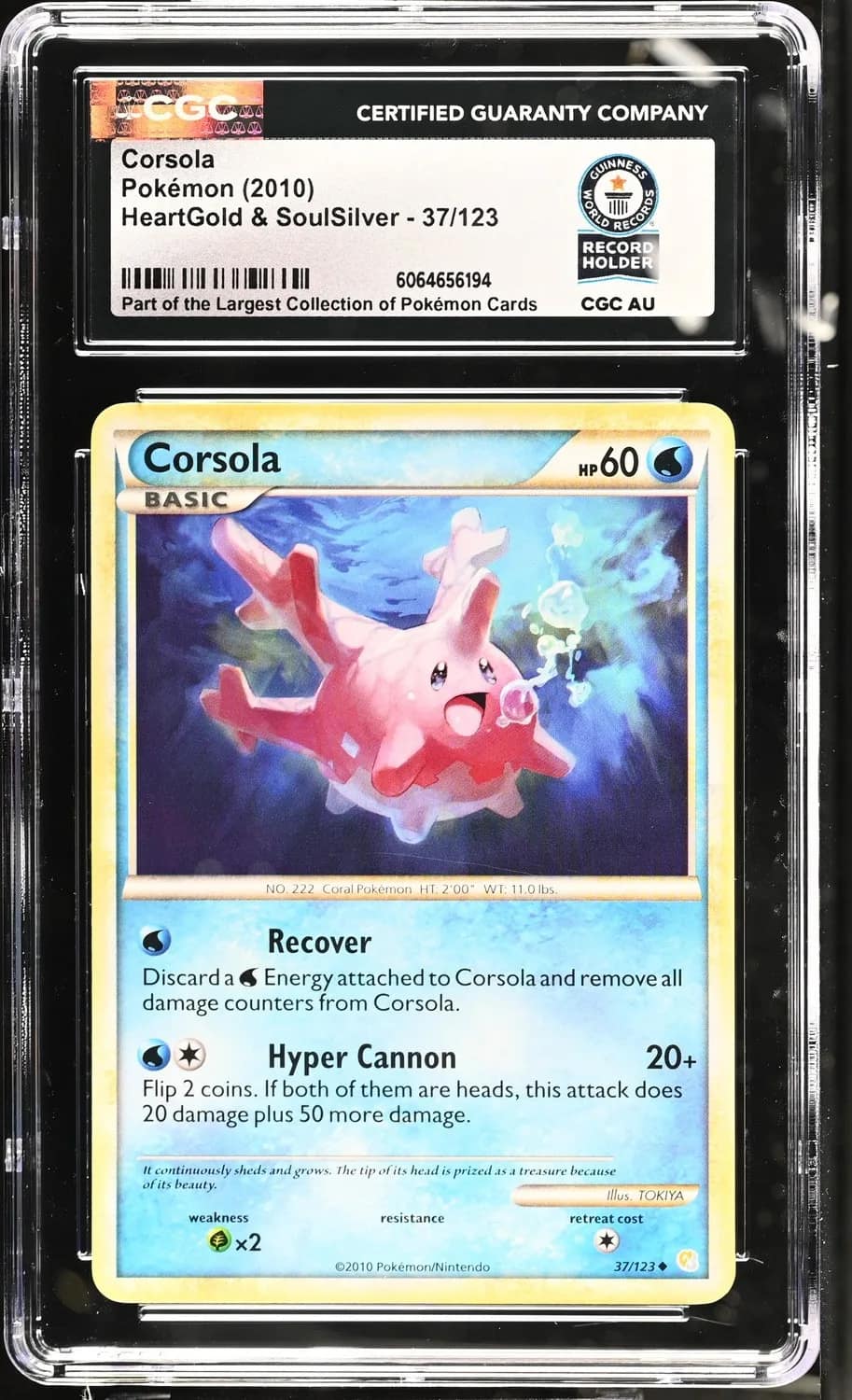 Corsola