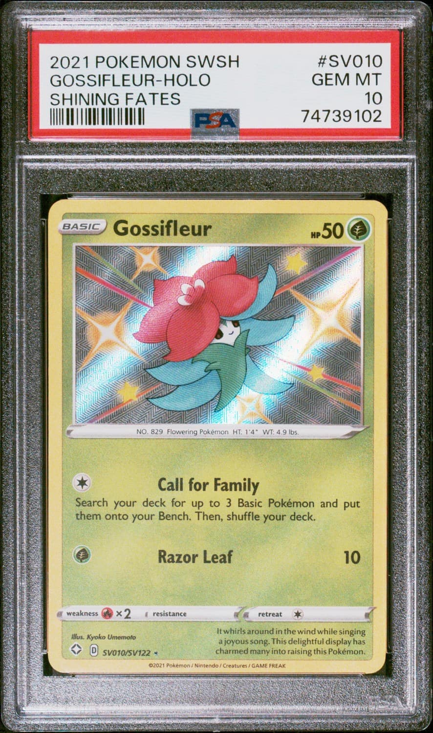 Gossifleur