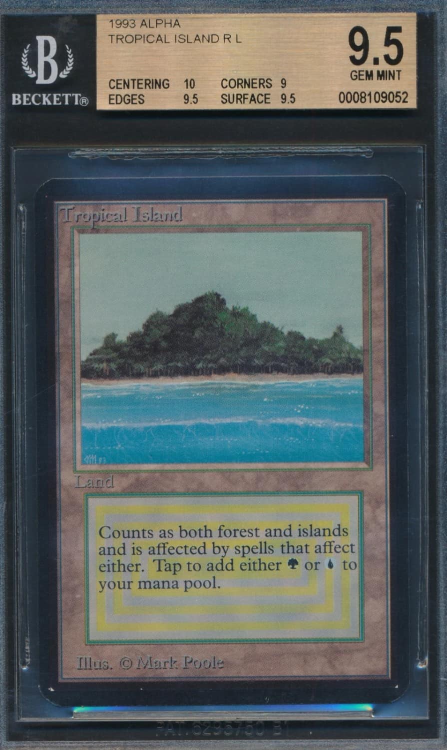 Tropical Island R :l: