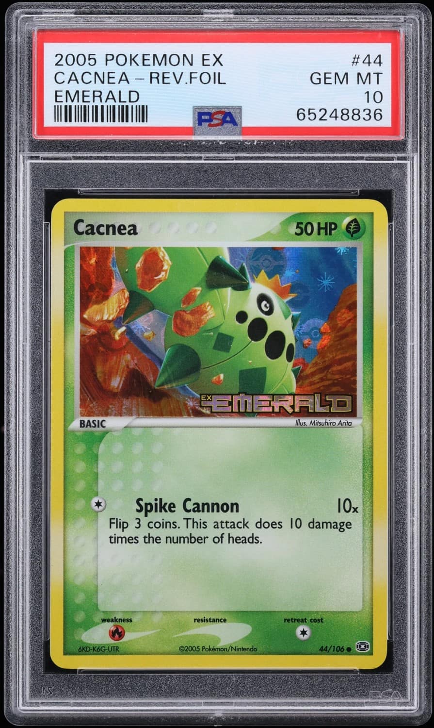 Cacnea