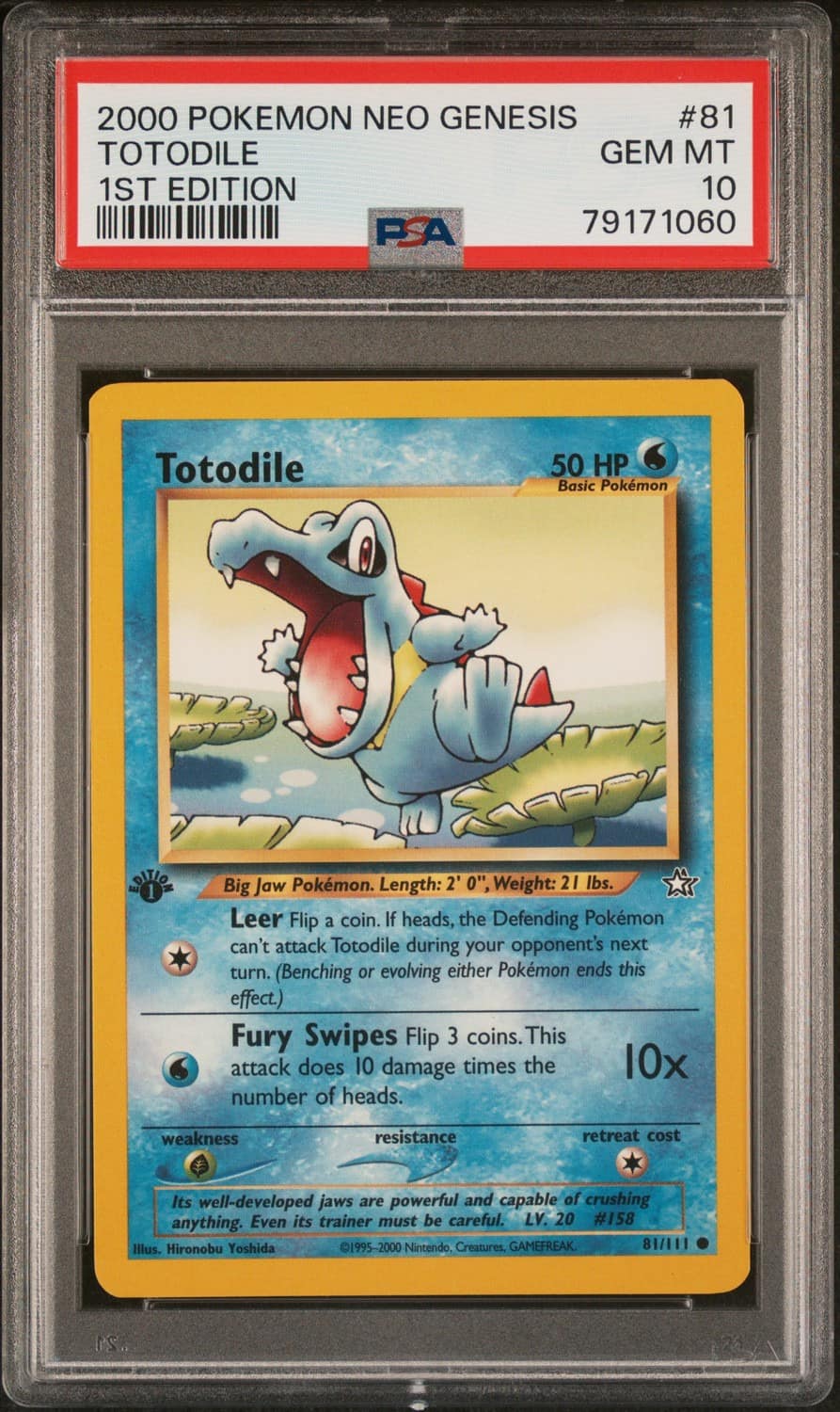 Totodile