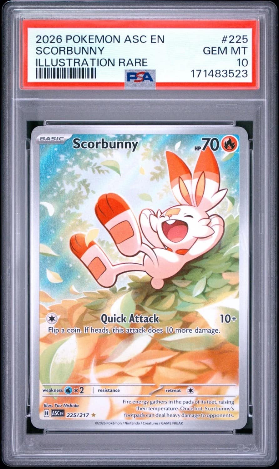 Scorbunny