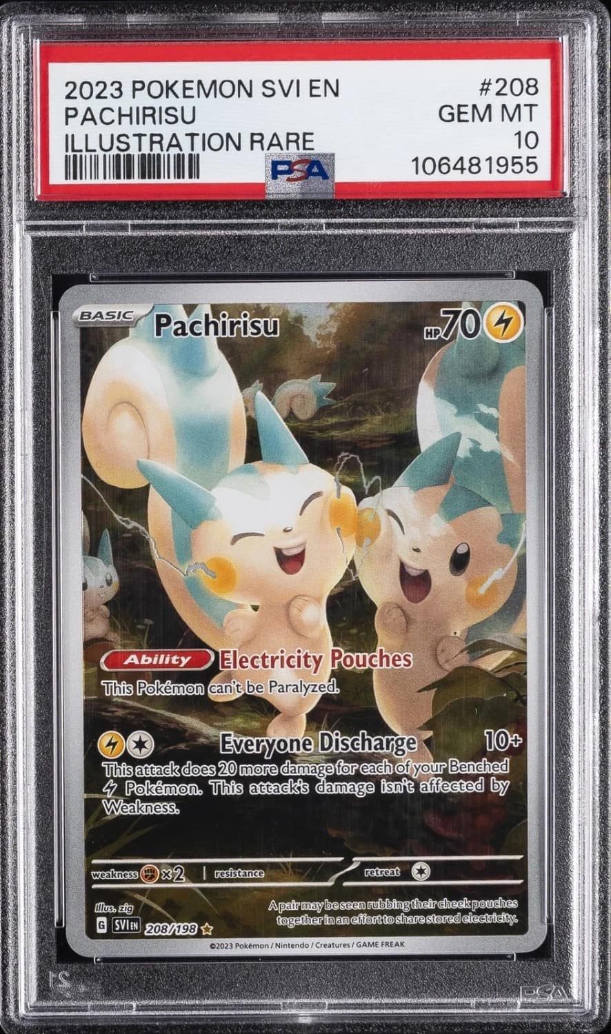 Pachirisu