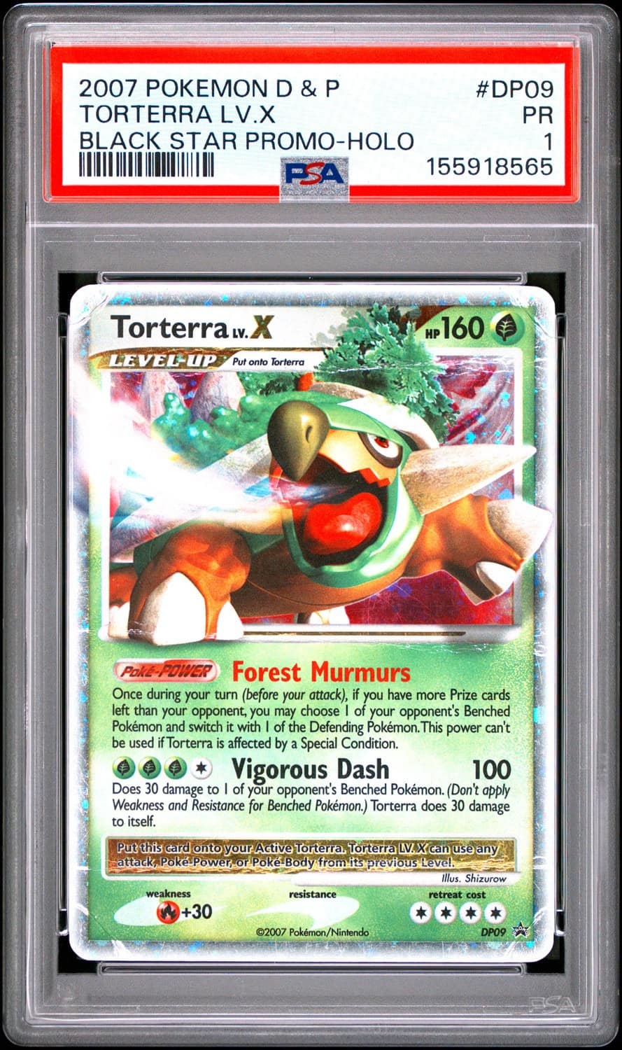 Torterra Lv.x