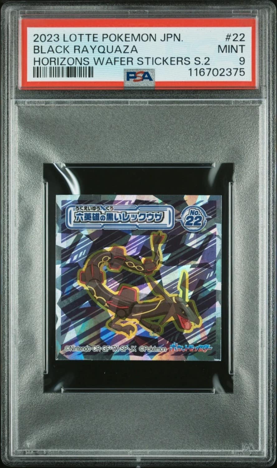 Black Rayquaza