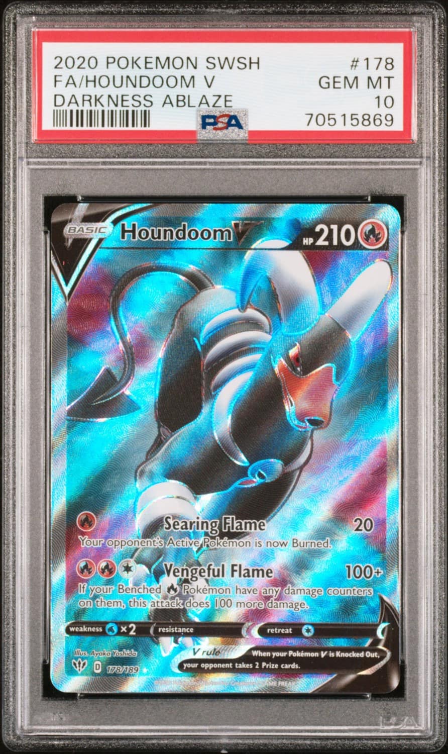 Houndoom V