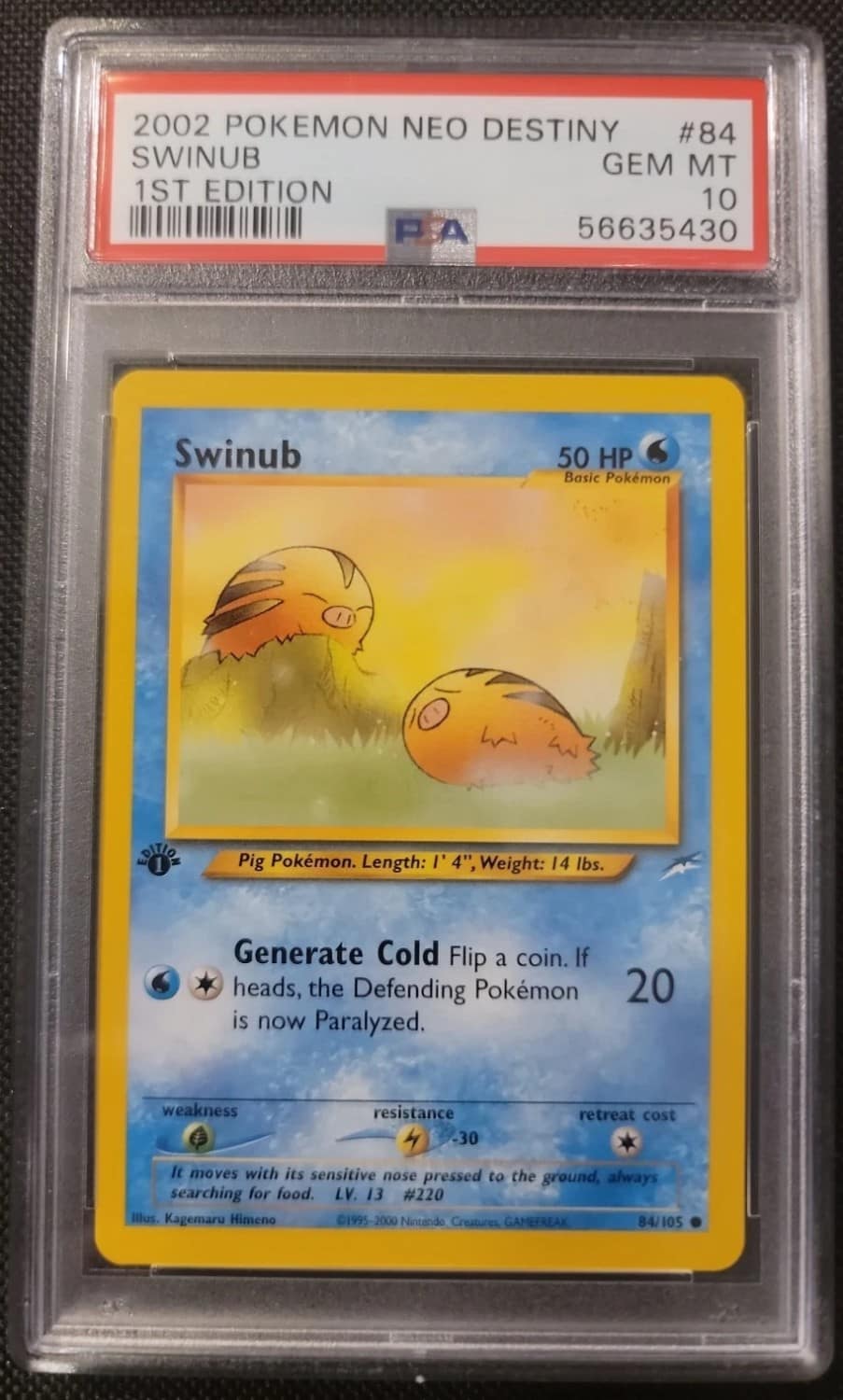 Swinub
