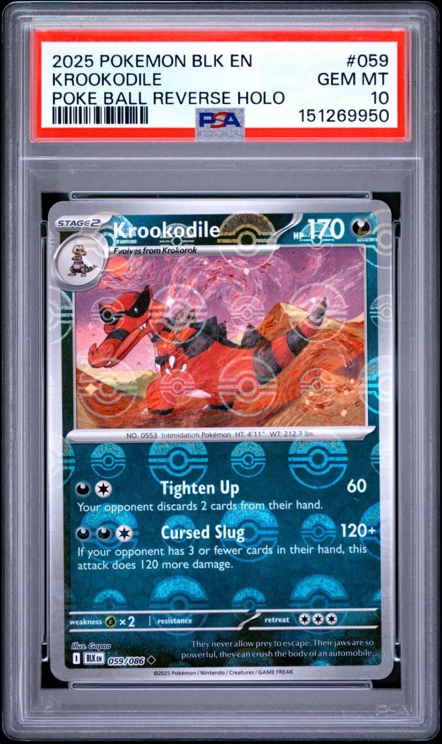 Krookodile