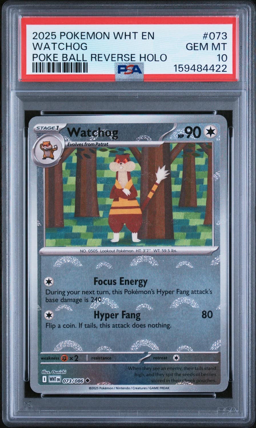 Watchog