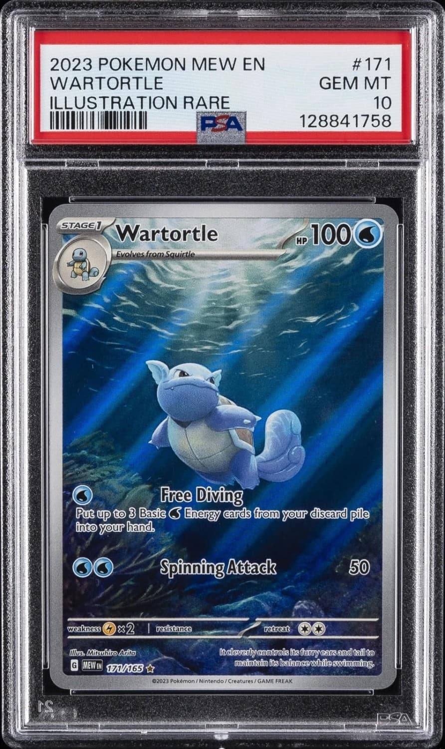 Wartortle