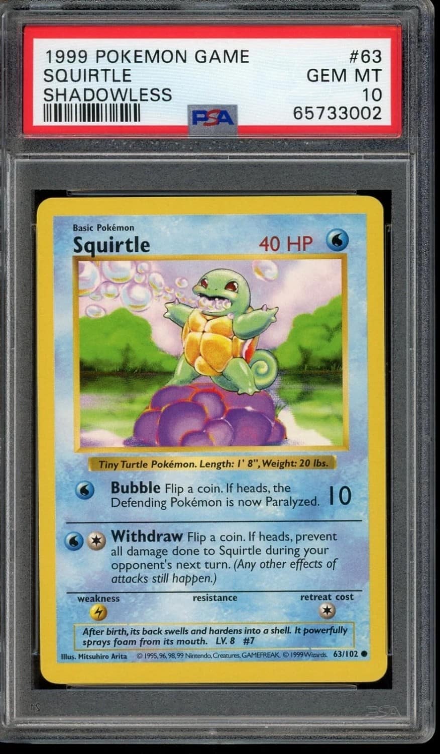 Squirtle