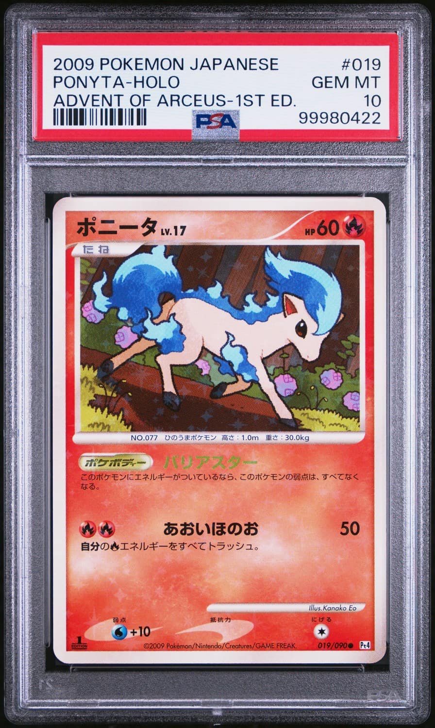 Ponyta