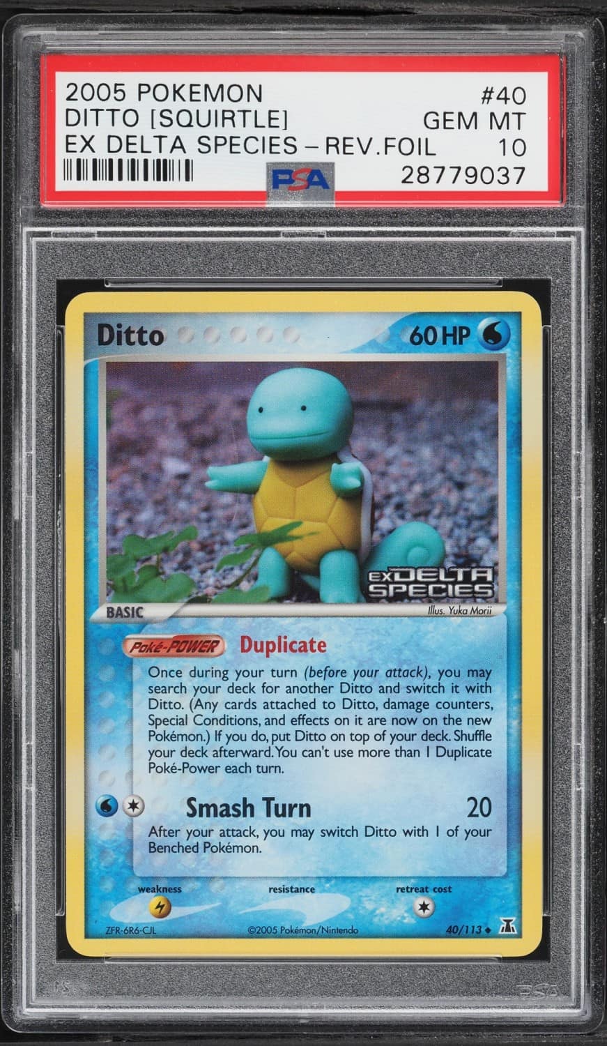 Ditto [squirtle]