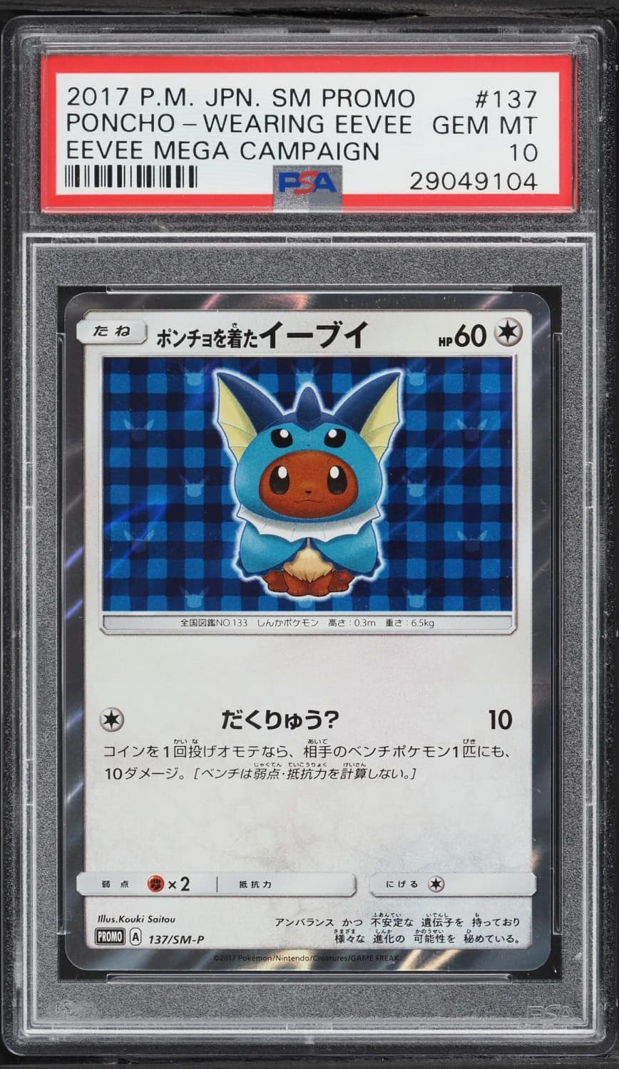 Poncho-Wearing Eevee