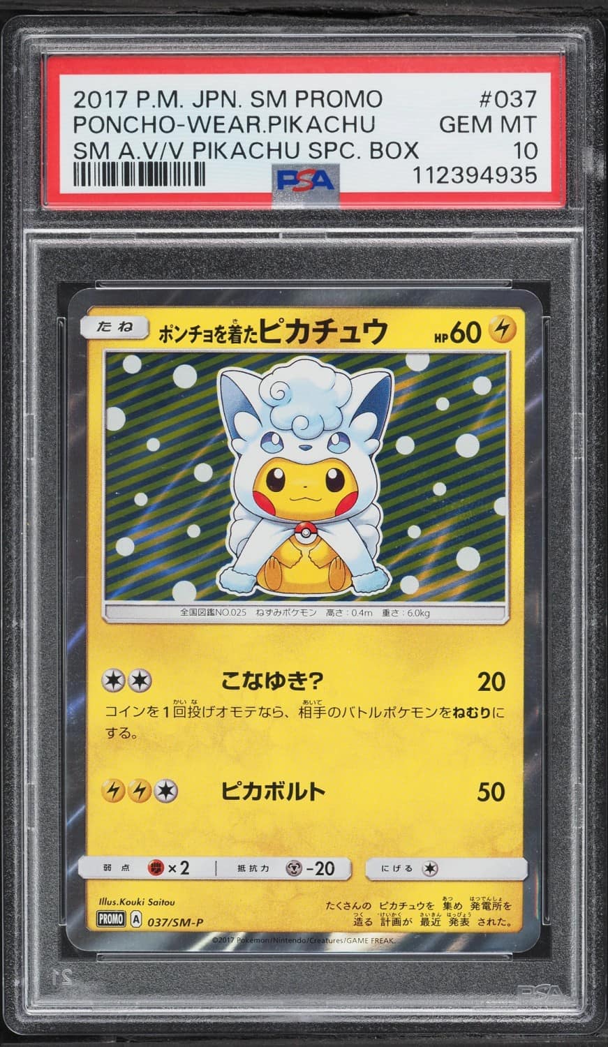 Poncho-Wearing Pikachu