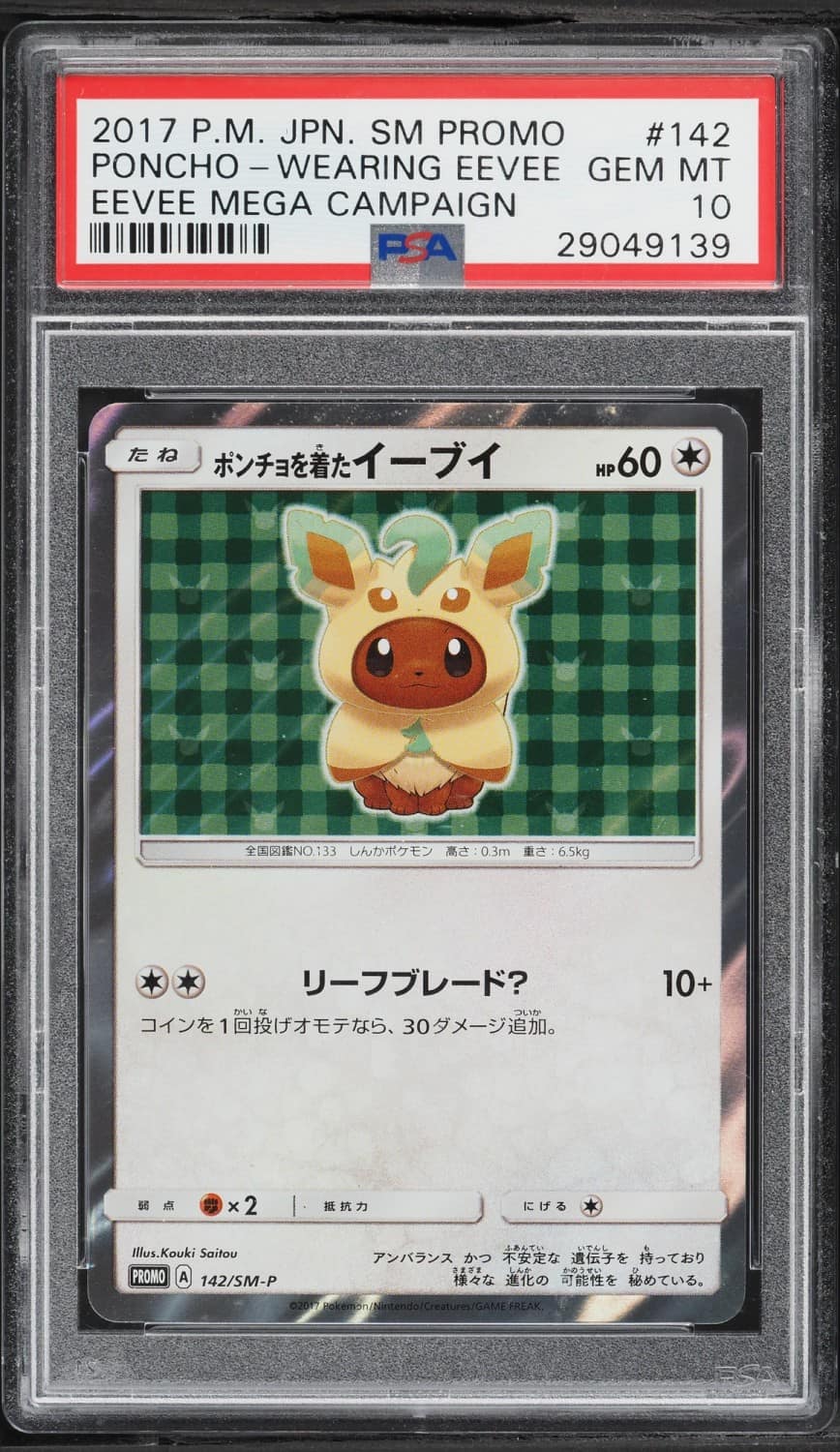 Poncho-Wearing Eevee