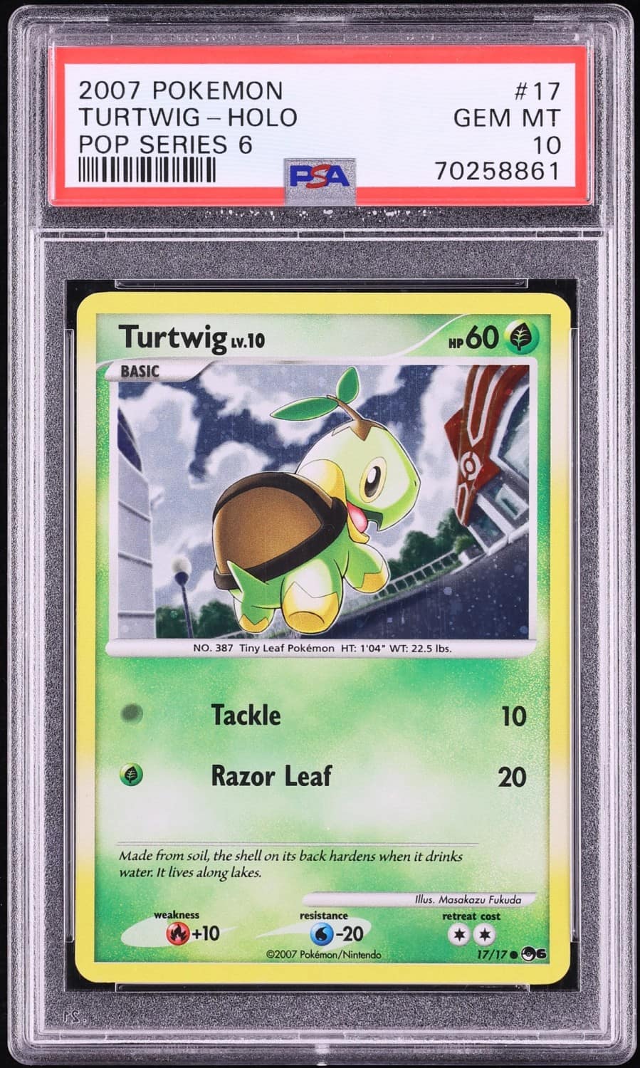 Turtwig