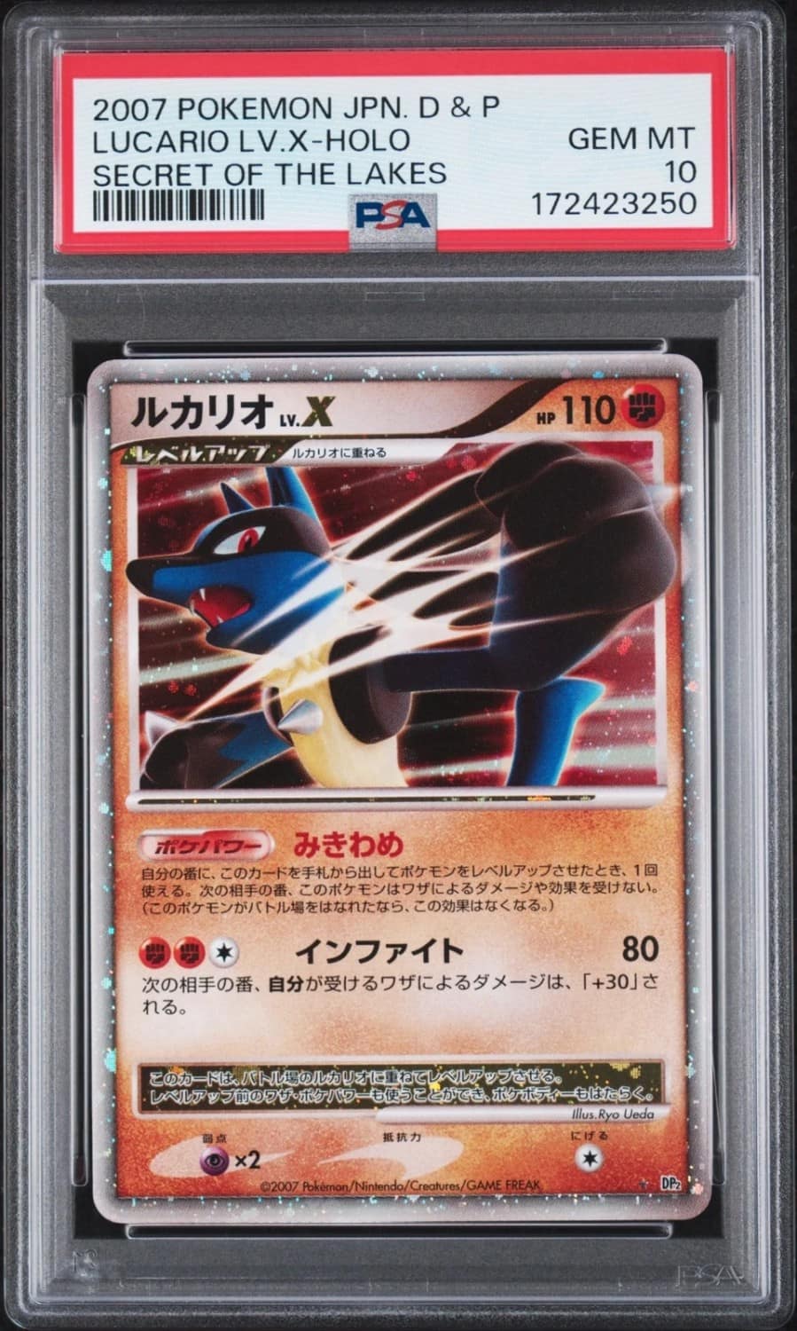 Lucario Lv X