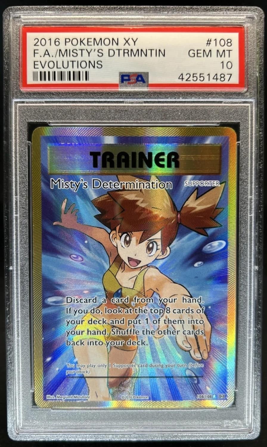 Misty'S Determination
