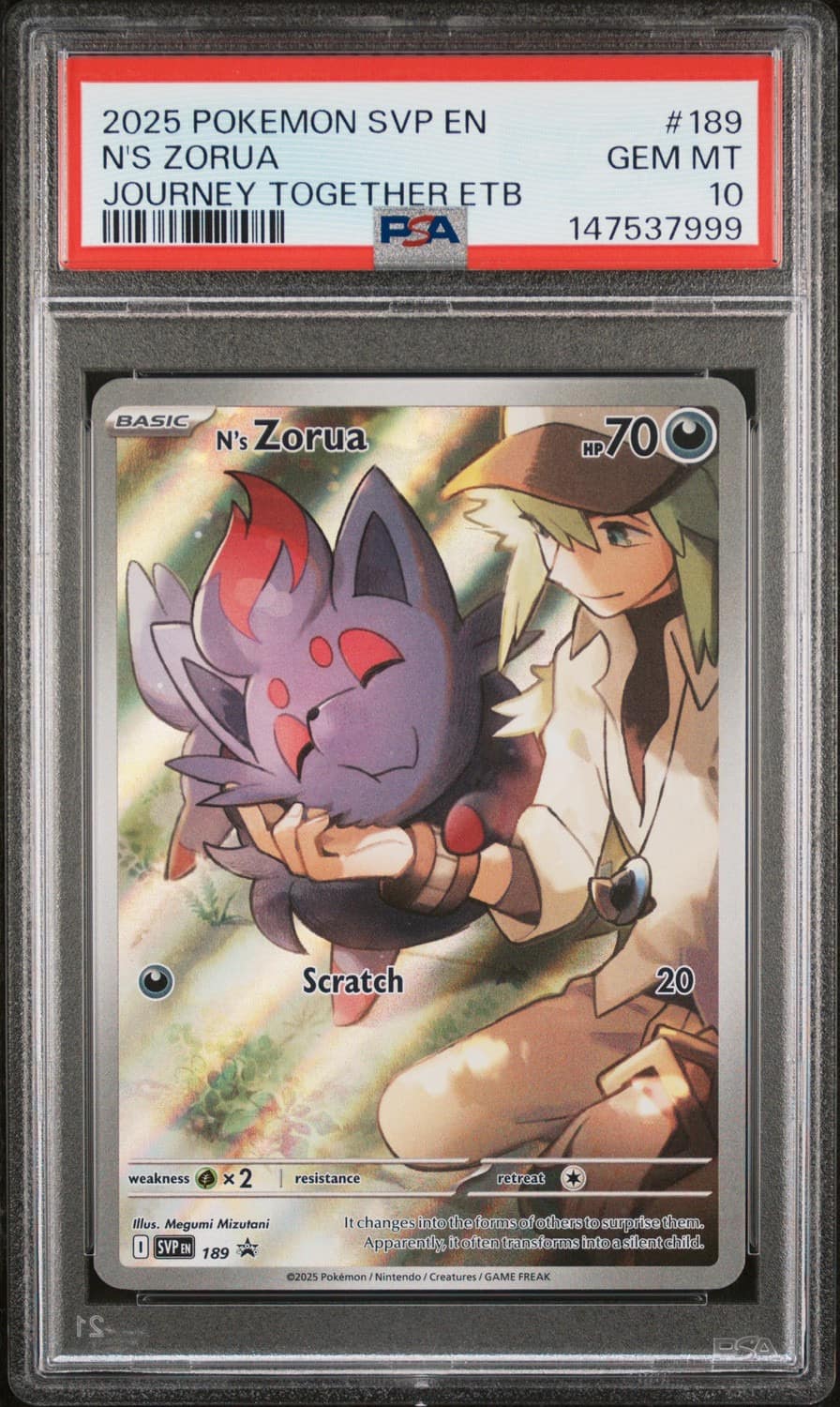 N'S Zorua