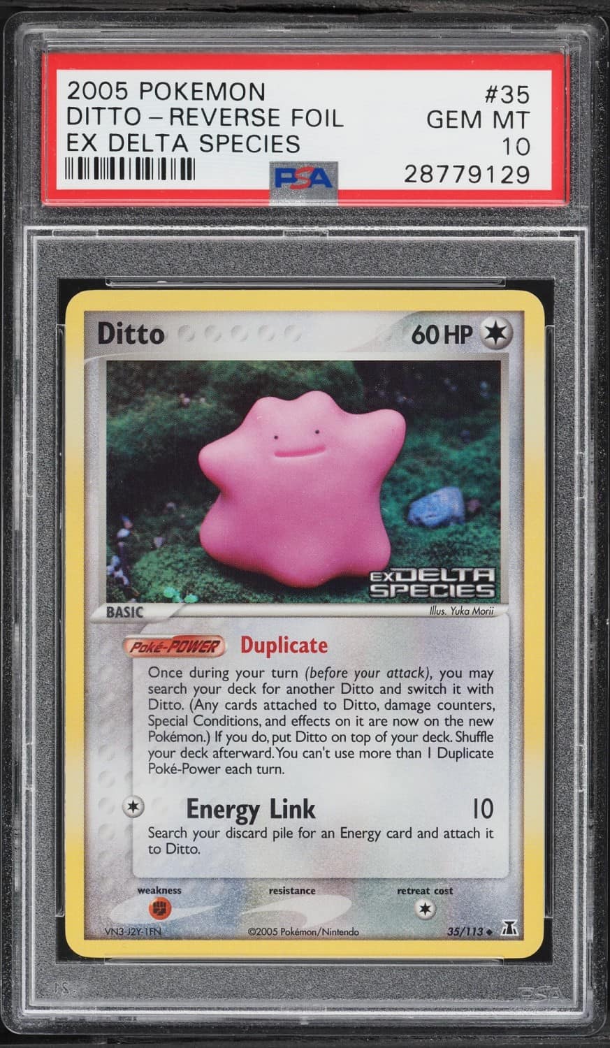 Ditto
