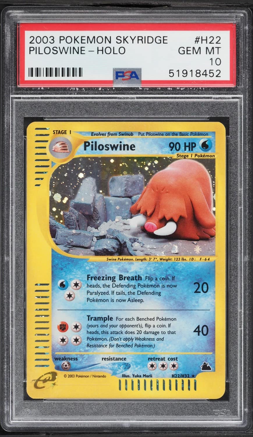 Piloswine