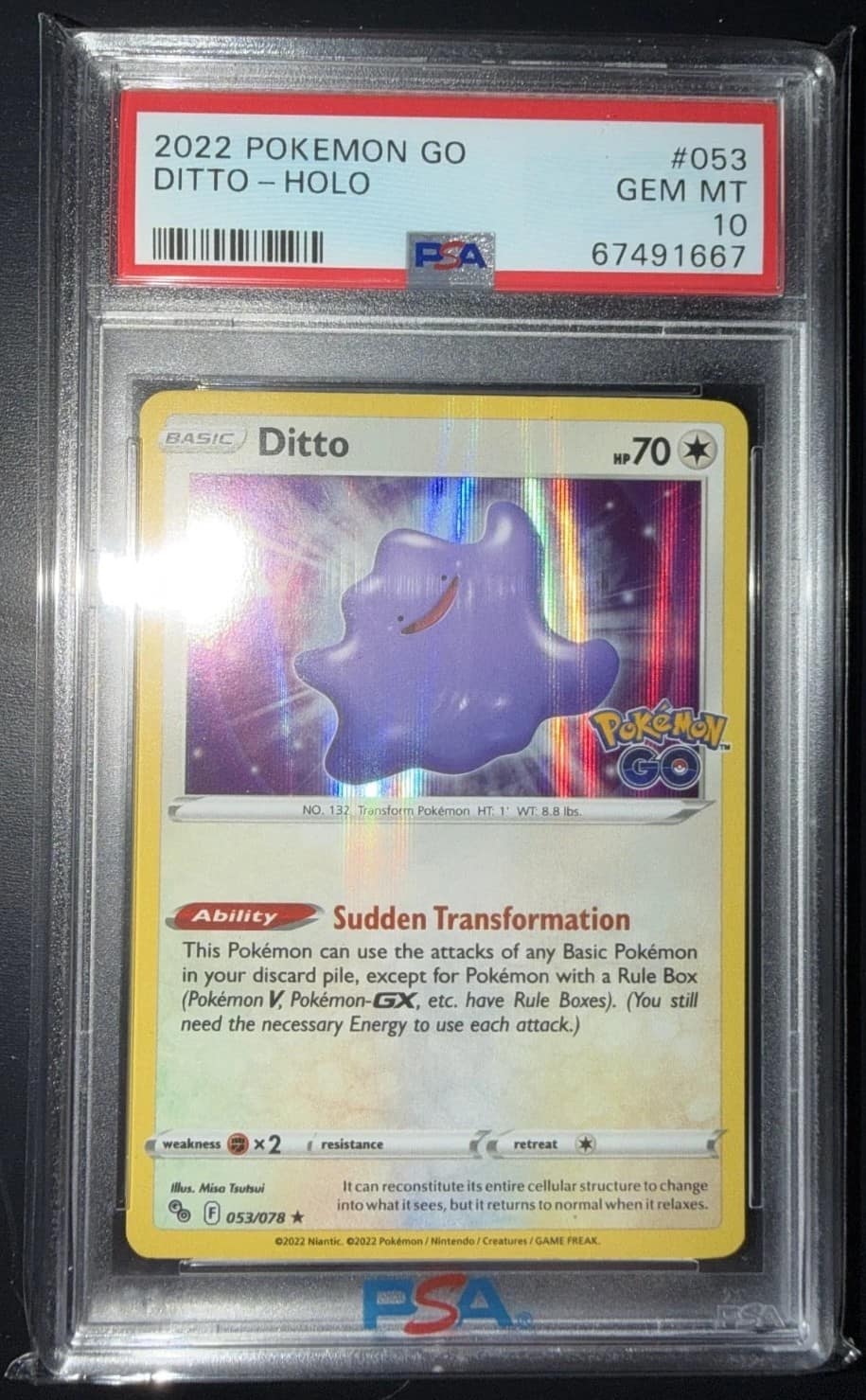 Ditto