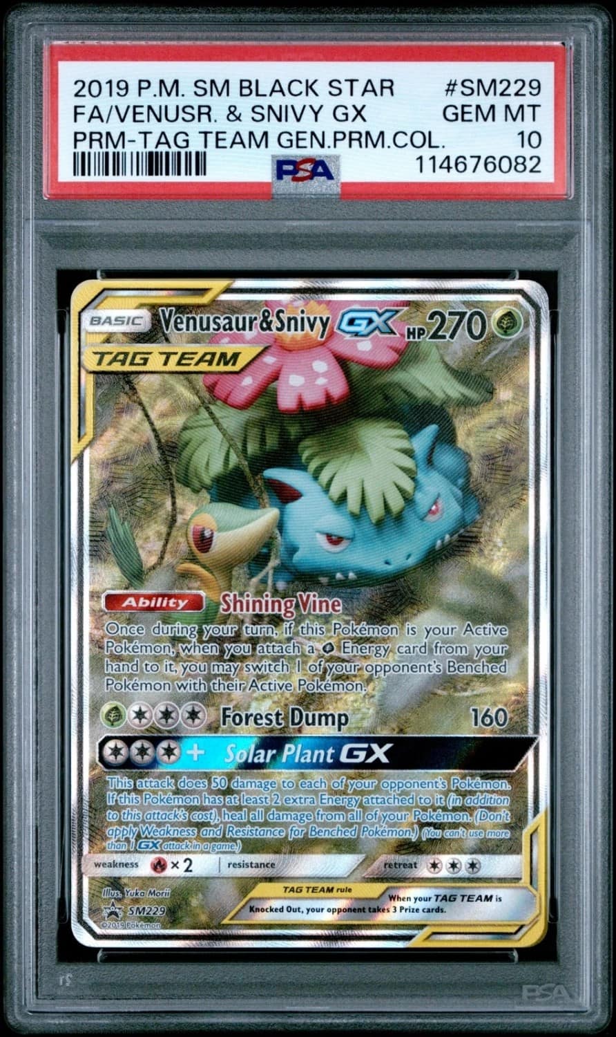 Venusaur & Snivy Gx