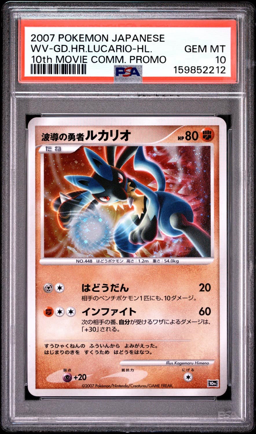 Wave-Guiding Hero Lucario