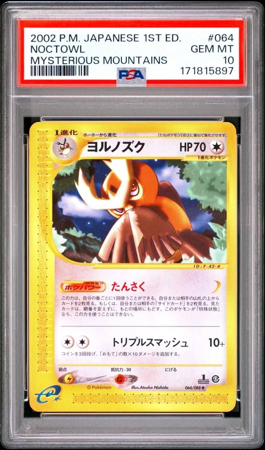 Noctowl