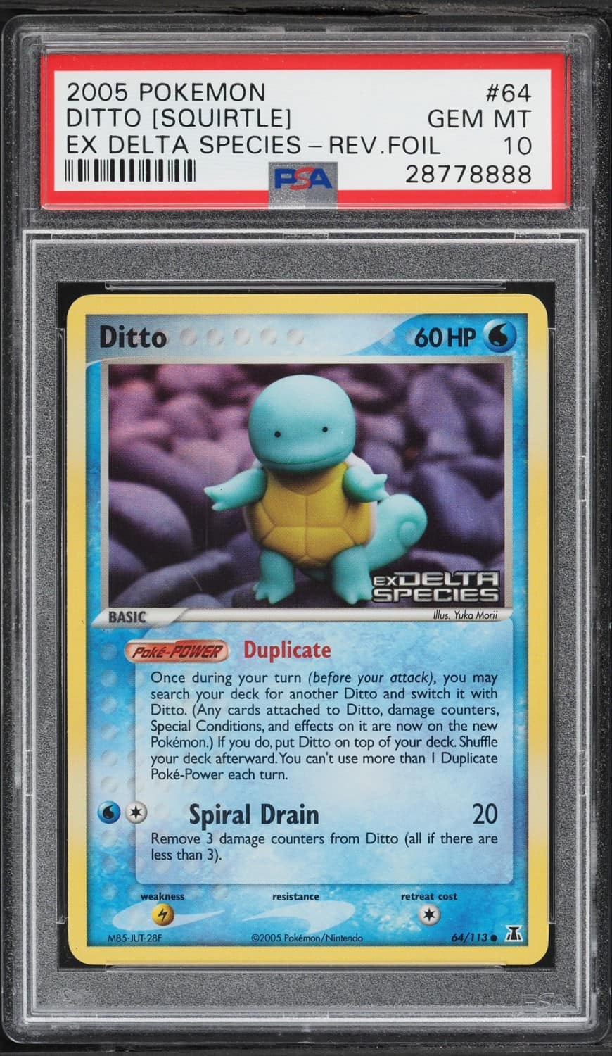 Ditto [squirtle]