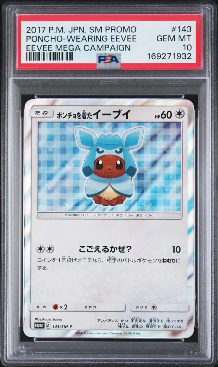 Poncho-Wearing Eevee