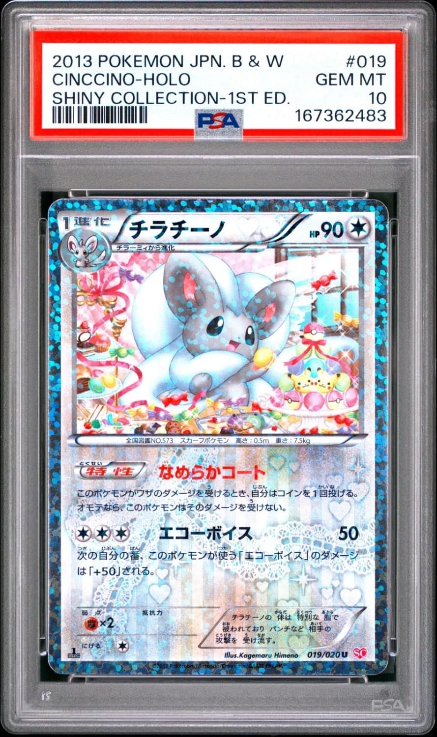 Cinccino