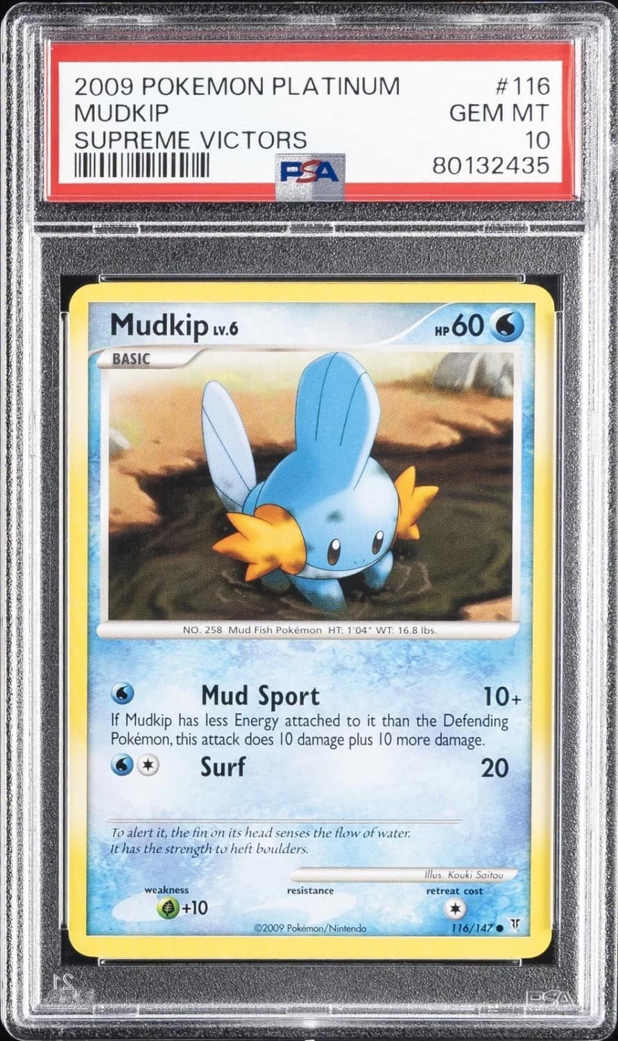 Mudkip