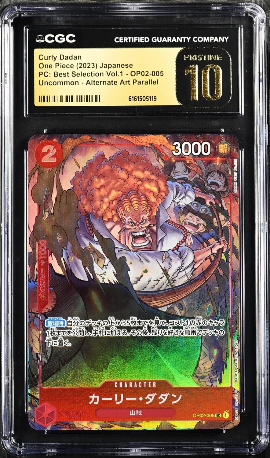 Curly Dadan