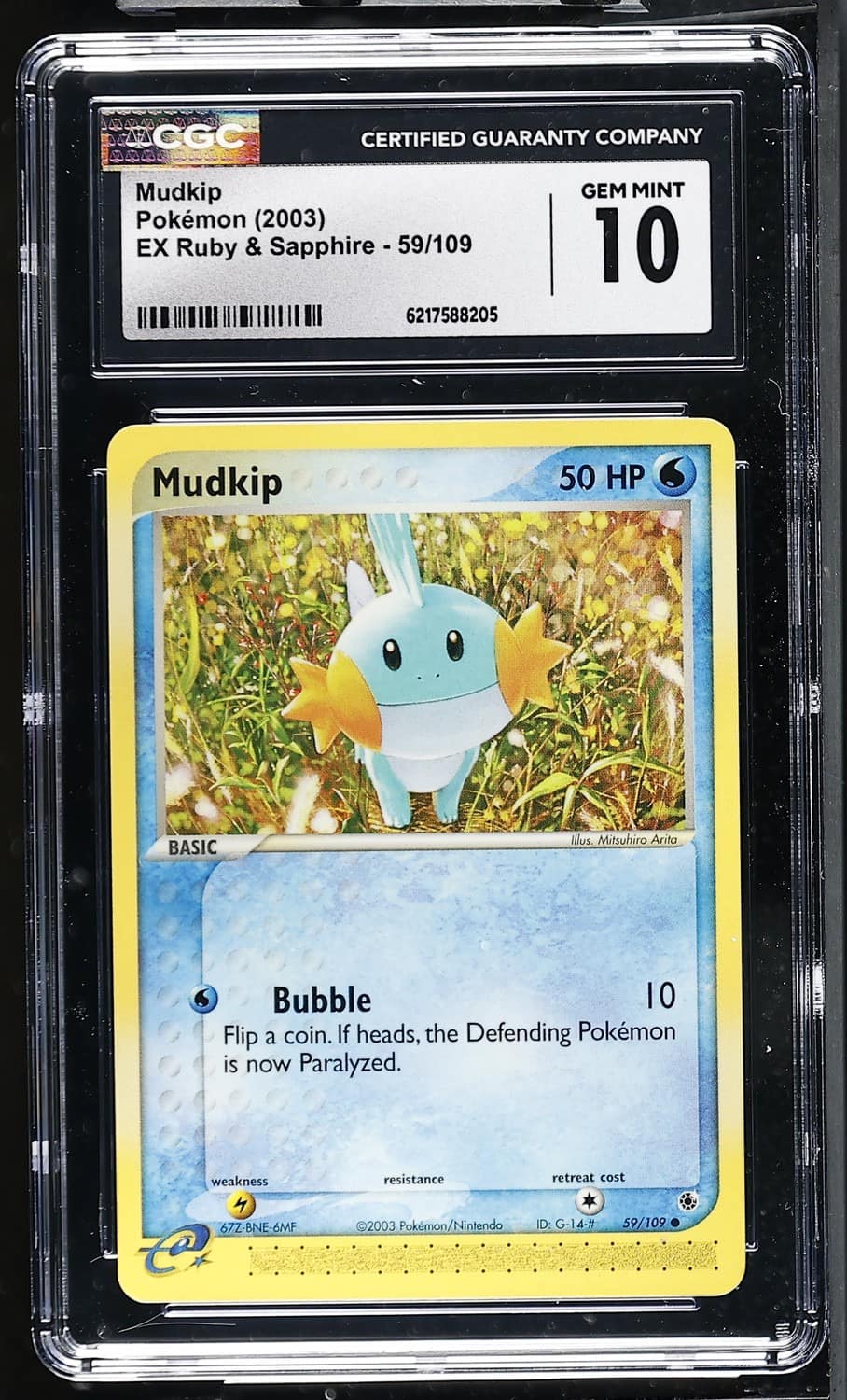 Mudkip