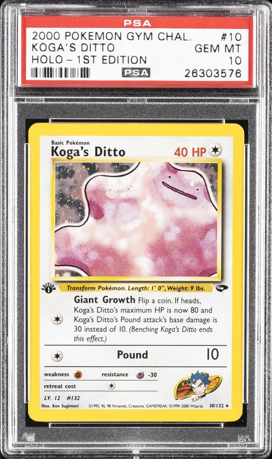 Koga'S Ditto