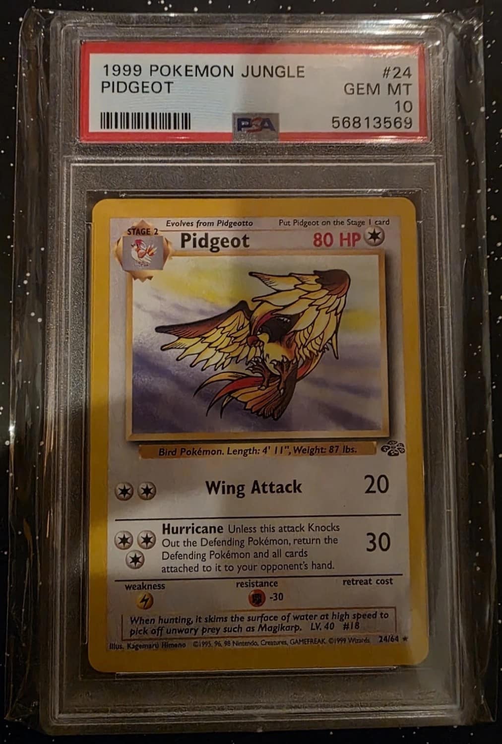 Pidgeot