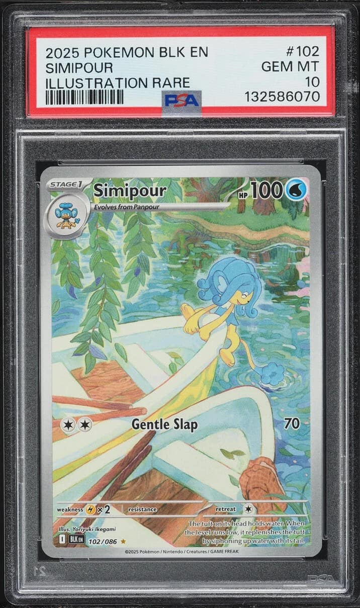 Simipour