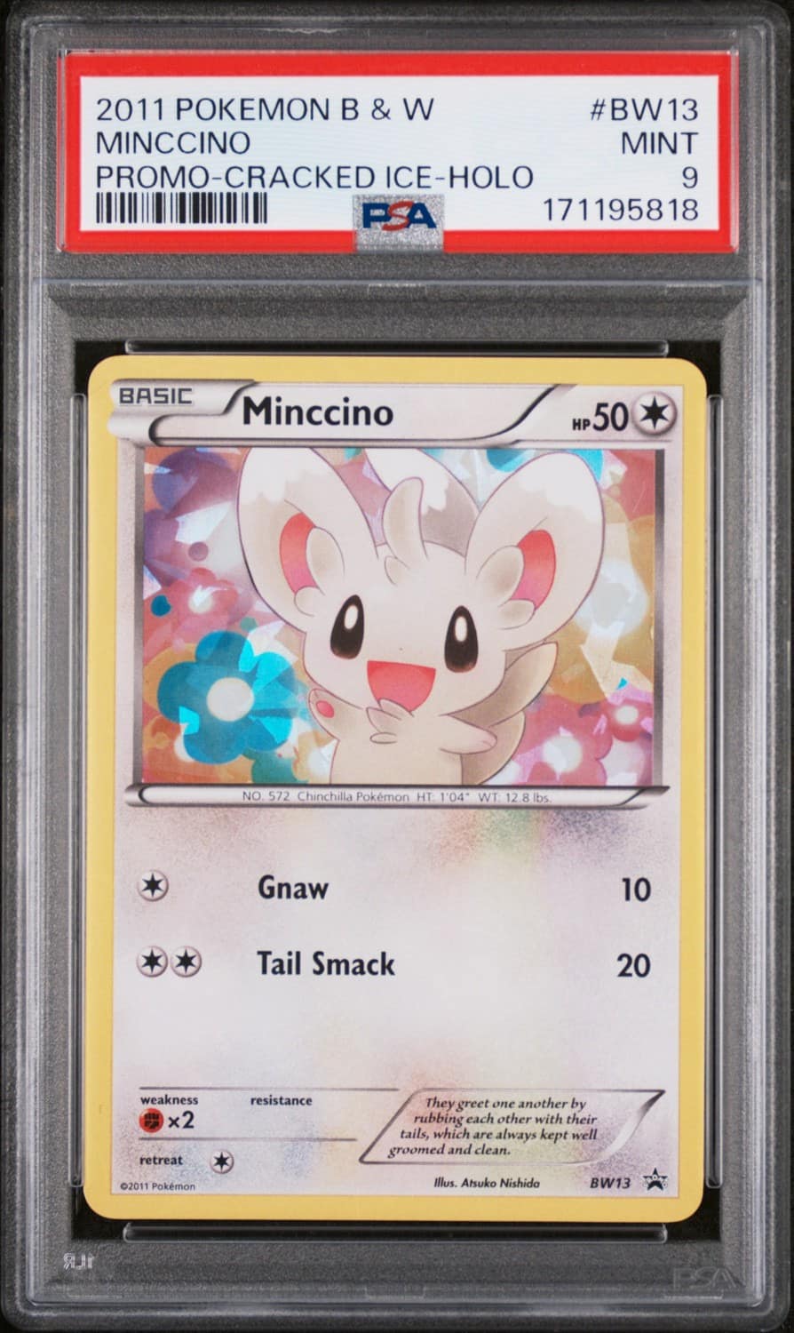 Minccino
