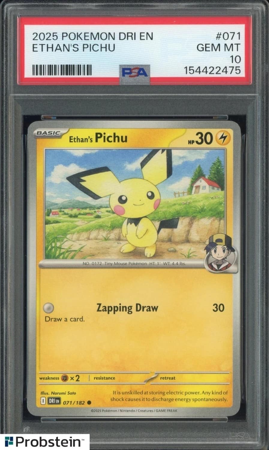 Ethan'S Pichu
