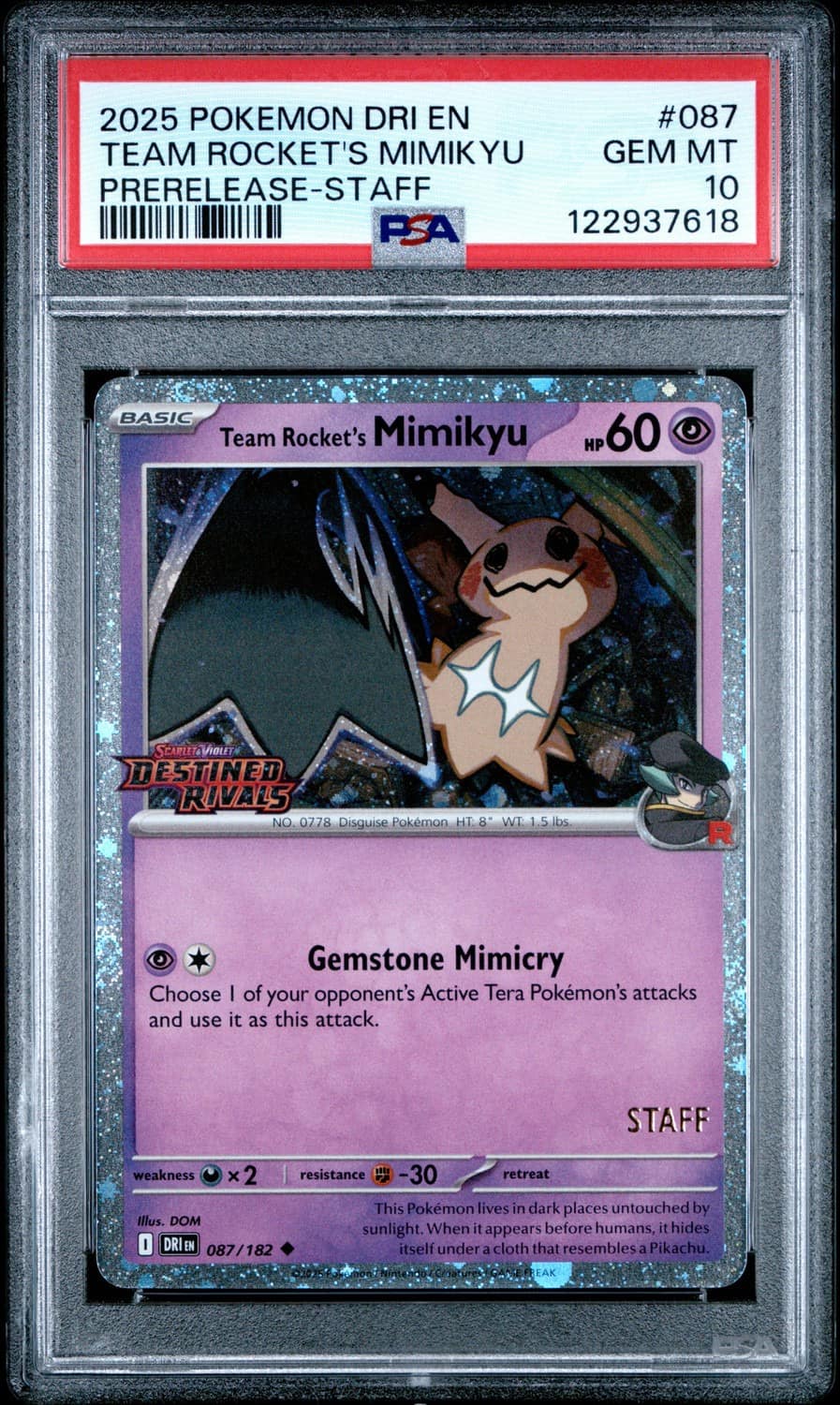 Team Rocket'S Mimikyu