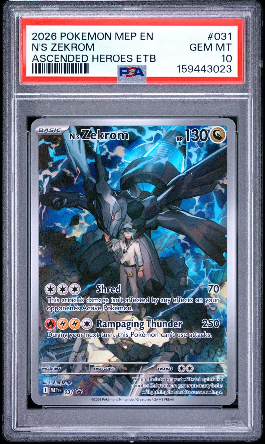 N'S Zekrom
