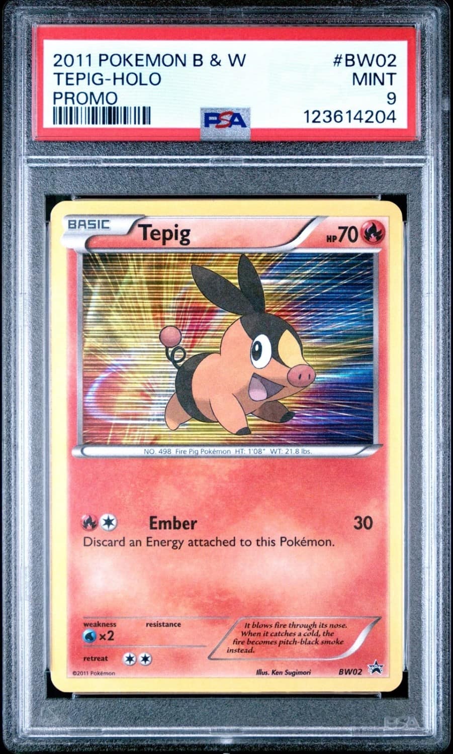 Tepig