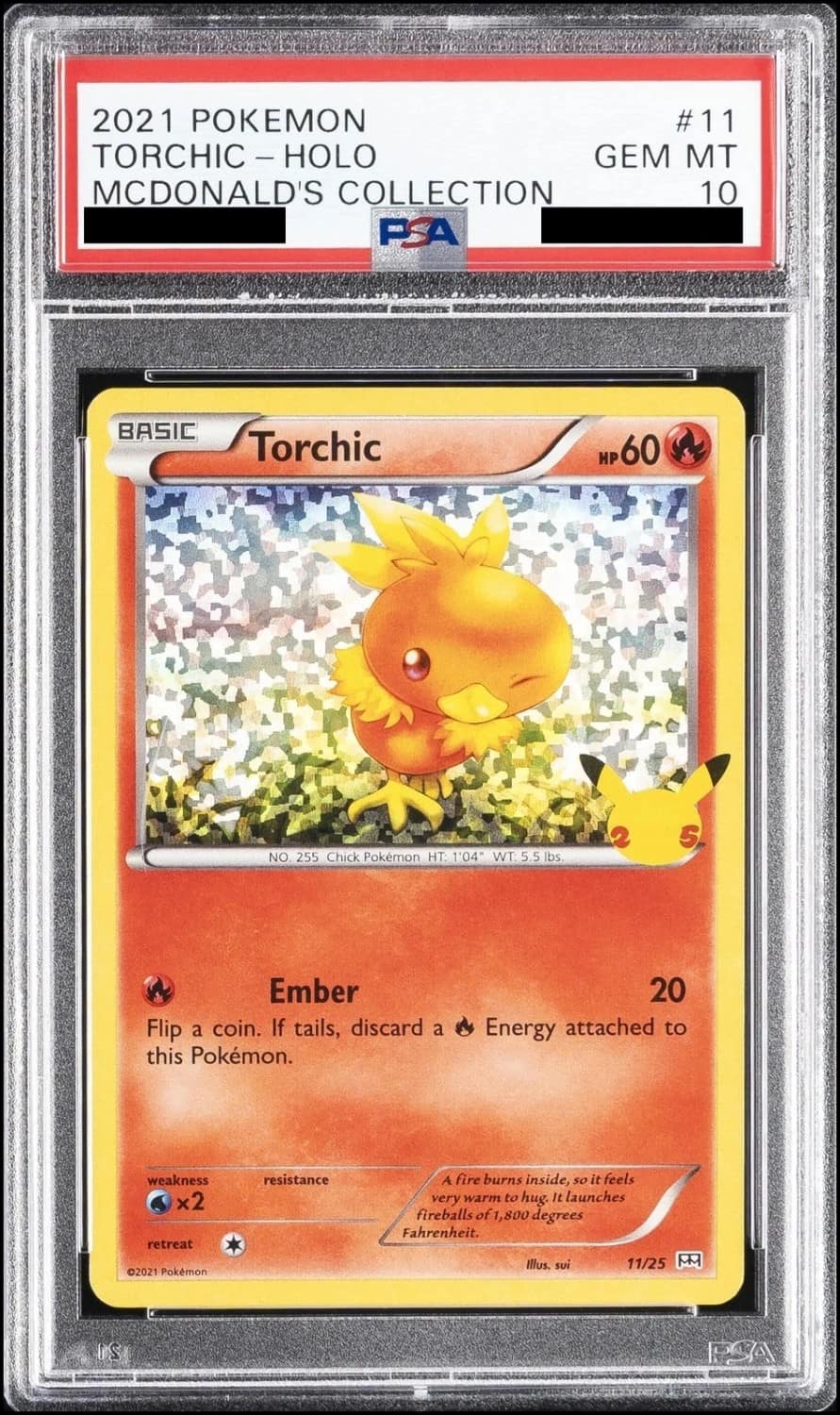 Torchic